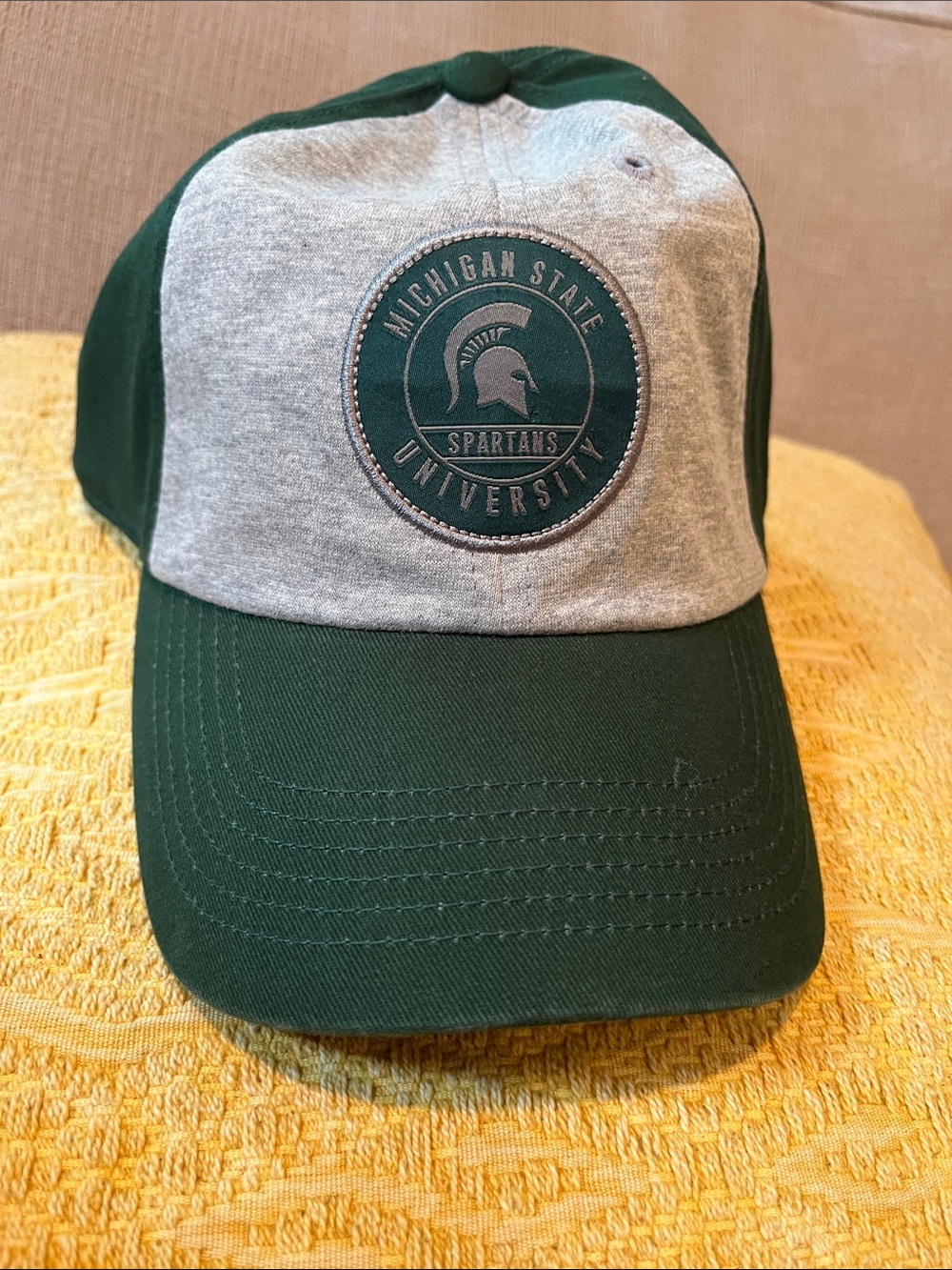 Top of the World Michigan State Green & Gray Panel Baseball Cap